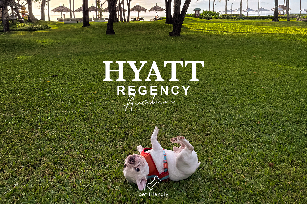 TRIP’LE X Hyatt Regency Hua Hin